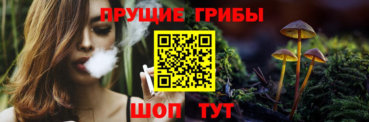 Псилоцибиновые грибы ЛСД Сочи